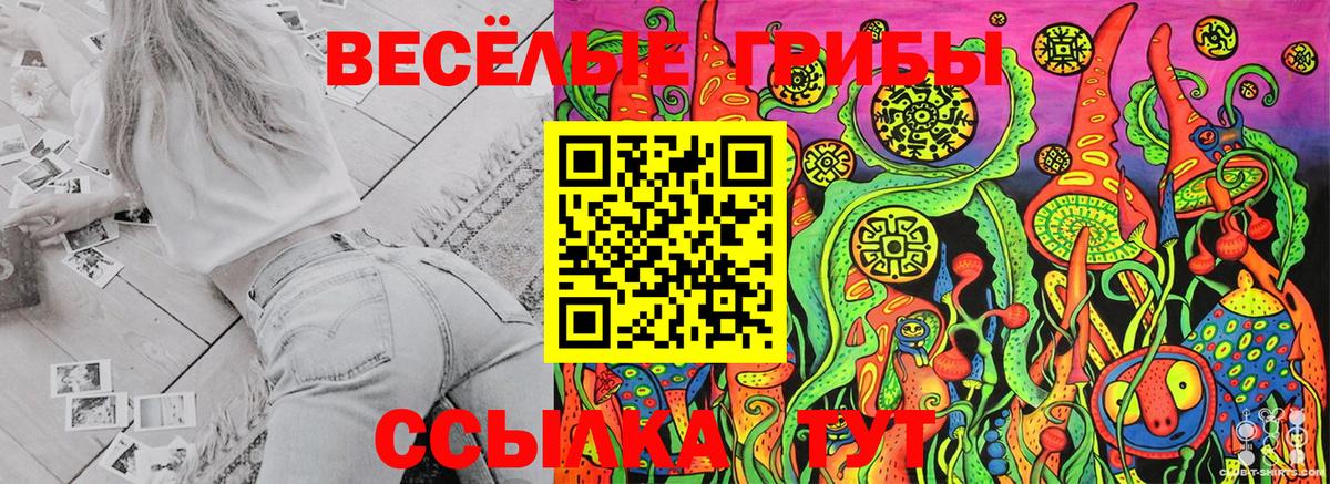 Галлюциногенные грибы Cubensis Коммунар