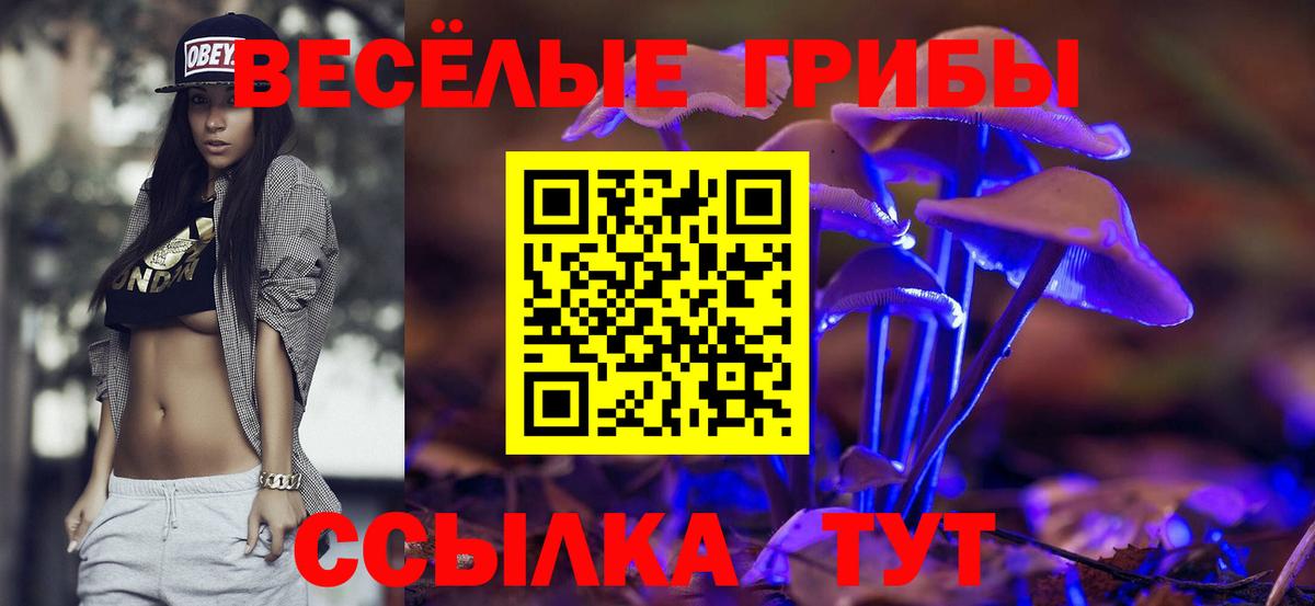 Коммунар  Псилоцибиновые грибы ЛСД  Вход с VPN 